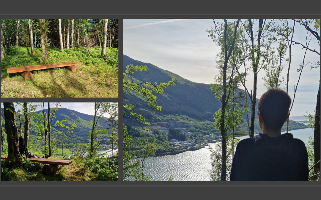 Opptur på Åsen – eit løft for fellesskapet