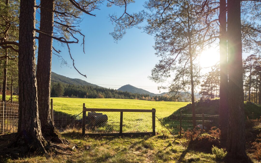 15 år for lokalsamfunnet