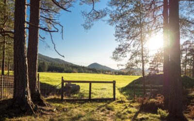 15 år for lokalsamfunnet