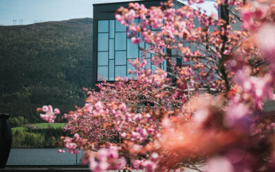 God start på året 2026