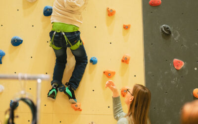 Søknadsportalen for Frivilligløftet 2026 er opna