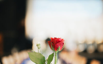 Ei varm markering av fellesskap og frivillig innsats